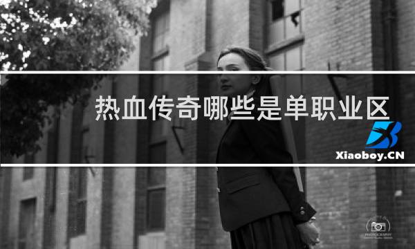 热血传奇哪些是单职业区