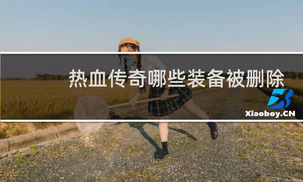 热血传奇哪些装备被删除