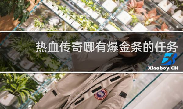热血传奇哪有爆金条的任务