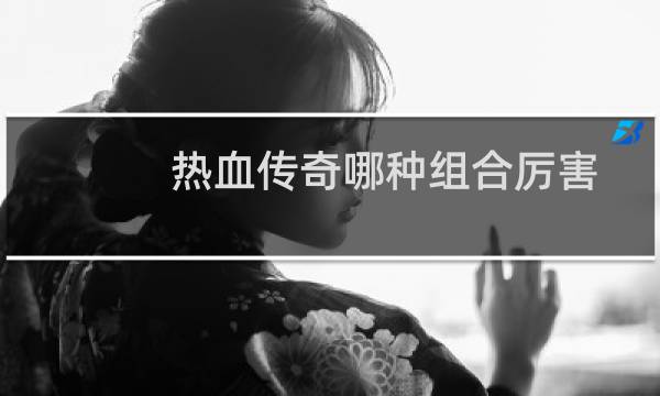 热血传奇哪种组合厉害