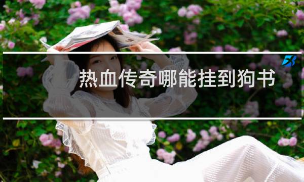 热血传奇哪能挂到狗书