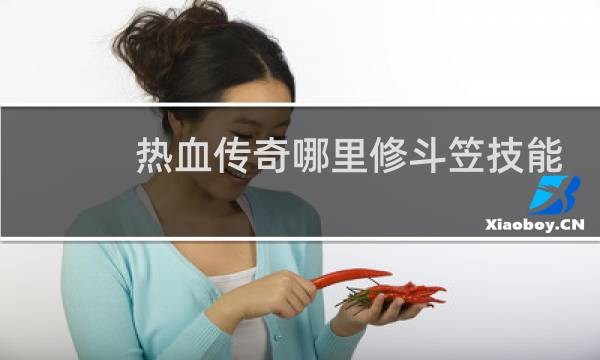 热血传奇哪里修斗笠技能
