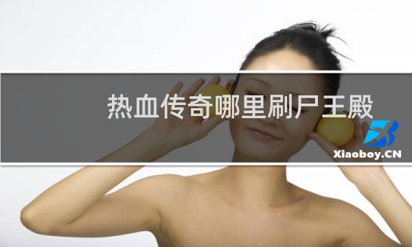 热血传奇哪里刷尸王殿