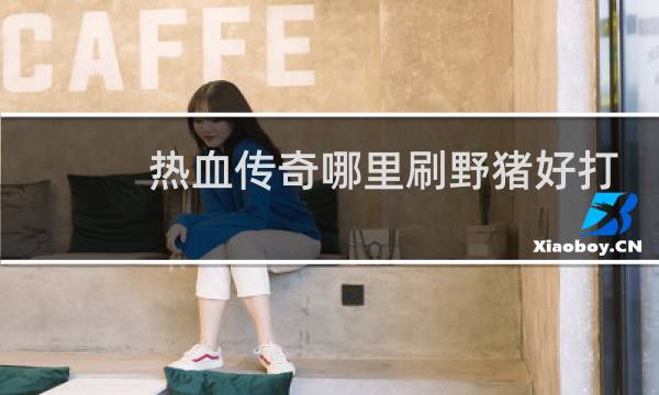 热血传奇哪里刷野猪好打