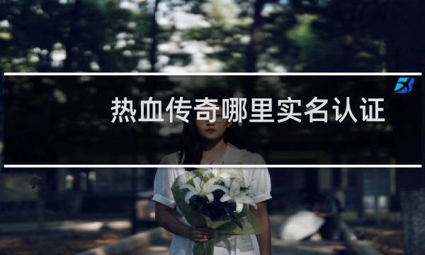 热血传奇哪里实名认证