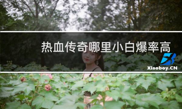 热血传奇哪里小白爆率高