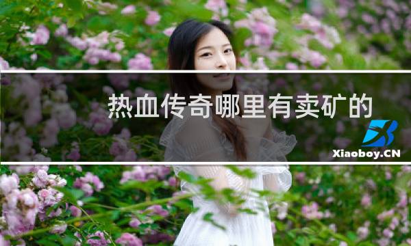 热血传奇哪里有卖矿的