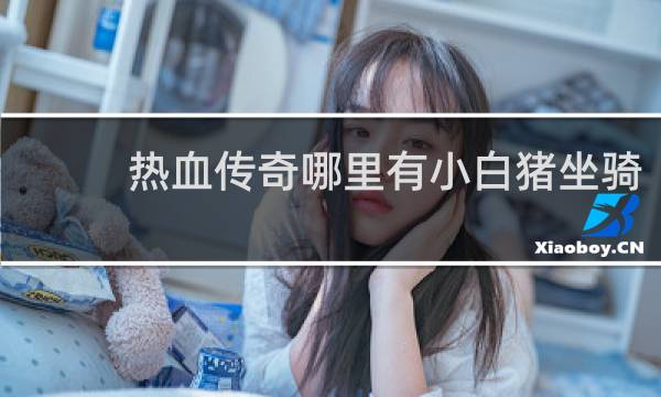 热血传奇哪里有小白猪坐骑