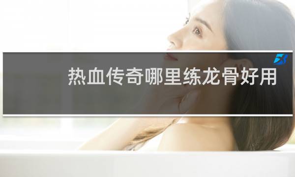 热血传奇哪里练龙骨好用