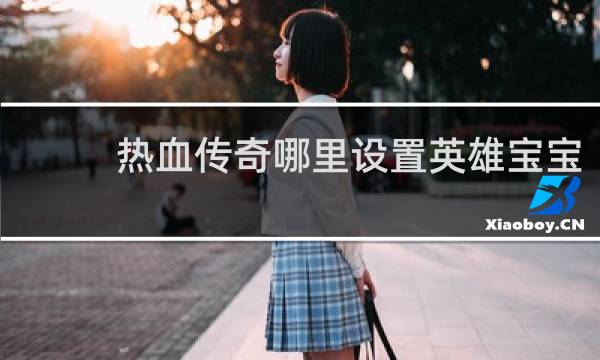 熱血傳奇哪里設置英雄寶寶