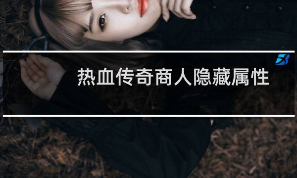 热血传奇商人隐藏属性