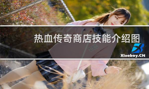 热血传奇商店技能介绍图