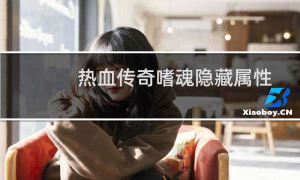 热血传奇嗜魂隐藏属性