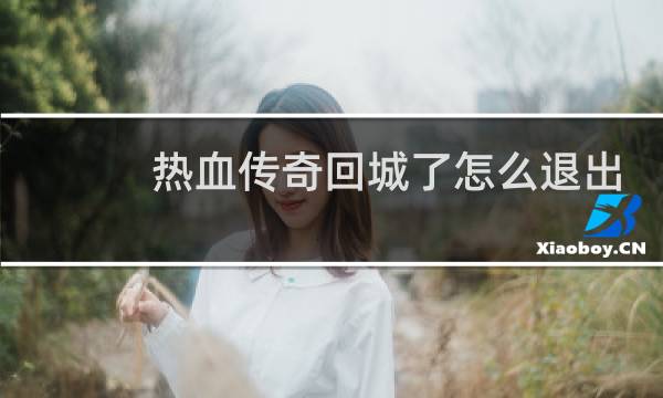 热血传奇回城了怎么退出