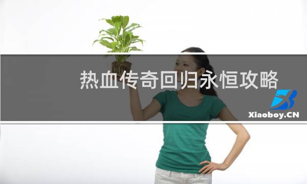 热血传奇回归永恒攻略