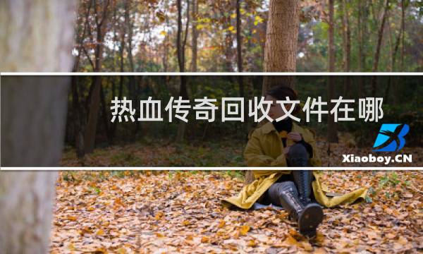 热血传奇回收文件在哪