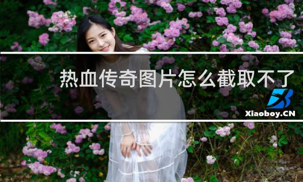 热血传奇图片怎么截取不了