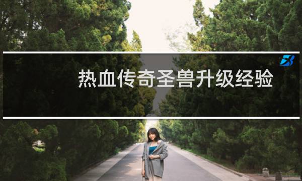 热血传奇圣兽升级经验