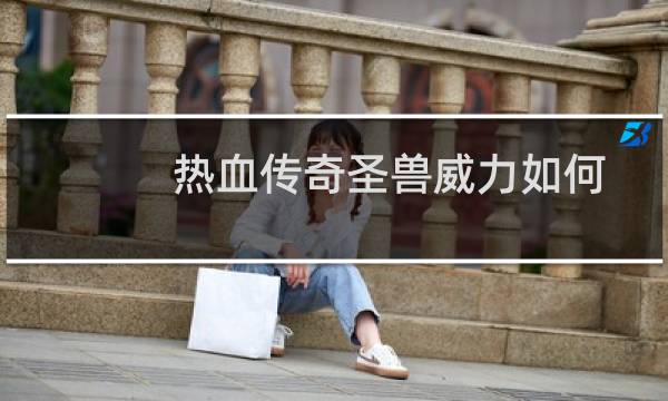 热血传奇圣兽威力如何