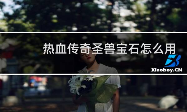 热血传奇圣兽宝石怎么用