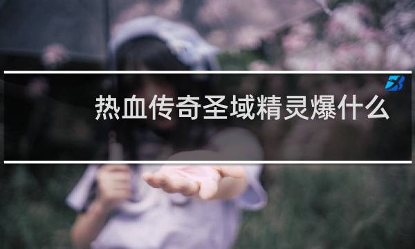 热血传奇圣域精灵爆什么