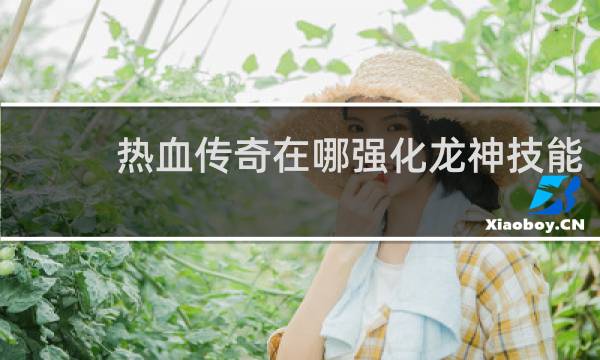 热血传奇在哪强化龙神技能