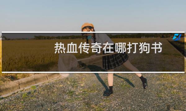 热血传奇在哪打狗书
