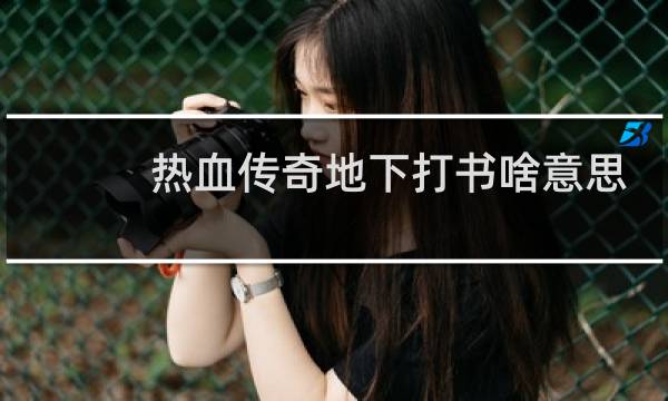 热血传奇地下打书啥意思
