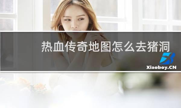 热血传奇地图怎么去猪洞