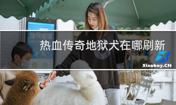 热血传奇地狱犬在哪刷新