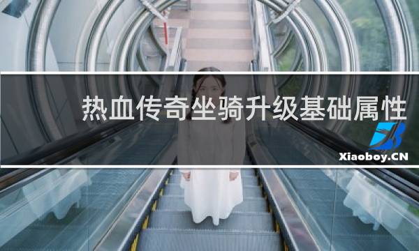 热血传奇坐骑升级基础属性