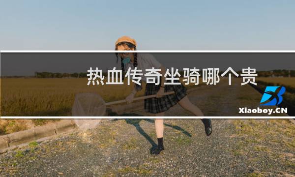 热血传奇坐骑哪个贵