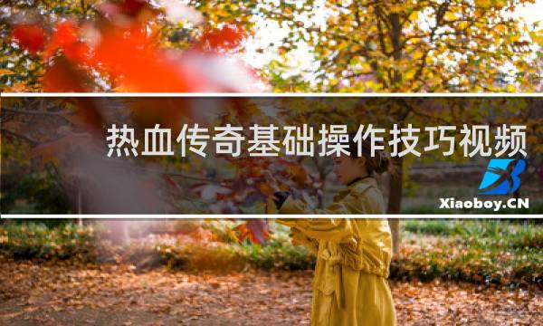 热血传奇基础操作技巧视频