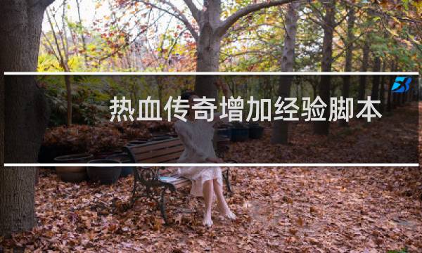热血传奇增加经验脚本