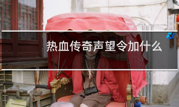 热血传奇声望令加什么