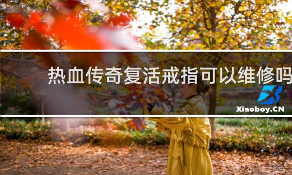 热血传奇复活戒指可以维修吗