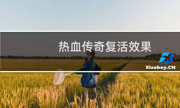 热血传奇复活效果
