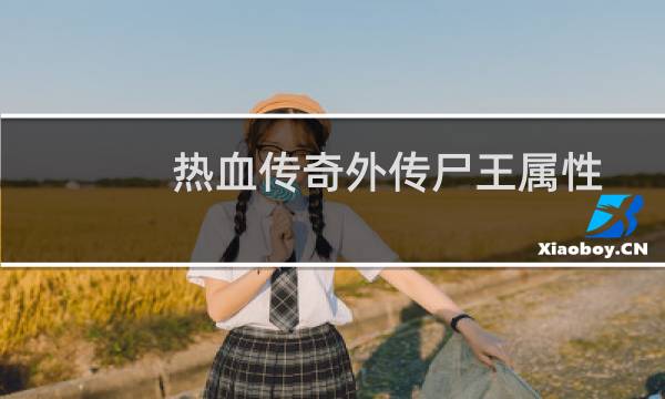 热血传奇外传尸王属性