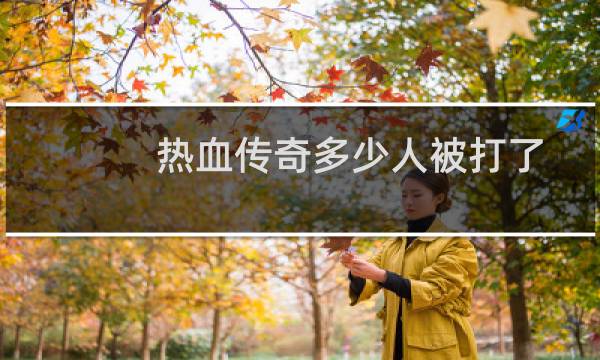 热血传奇多少人被打了