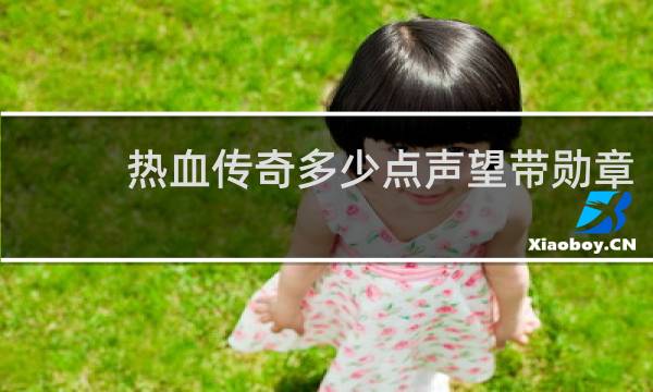 热血传奇多少点声望带勋章