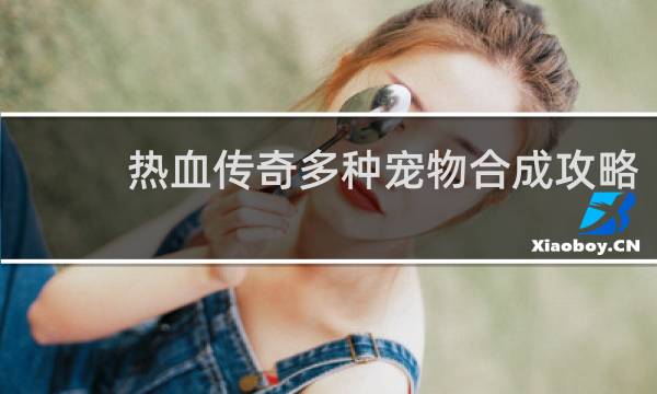 热血传奇多种宠物合成攻略