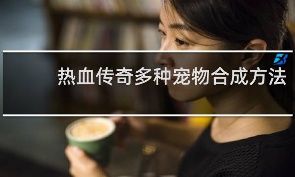 热血传奇多种宠物合成方法