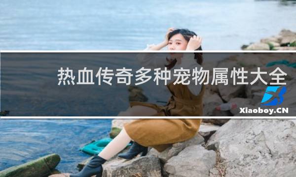 热血传奇多种宠物属性大全