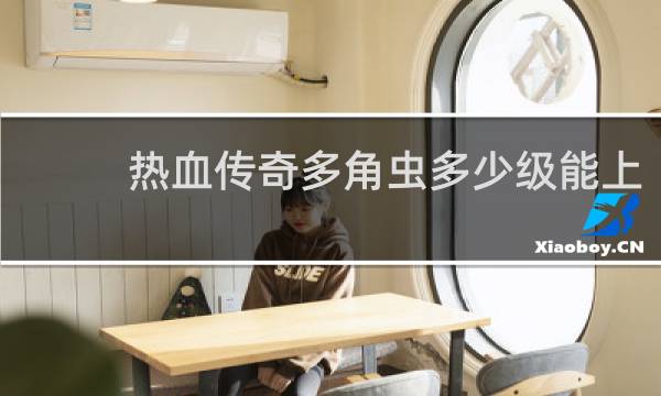 热血传奇多角虫多少级能上
