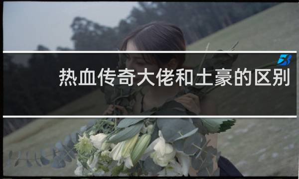 热血传奇大佬和土豪的区别