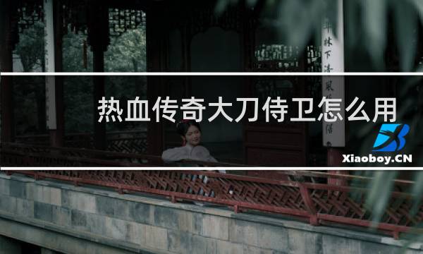 热血传奇大刀侍卫怎么用