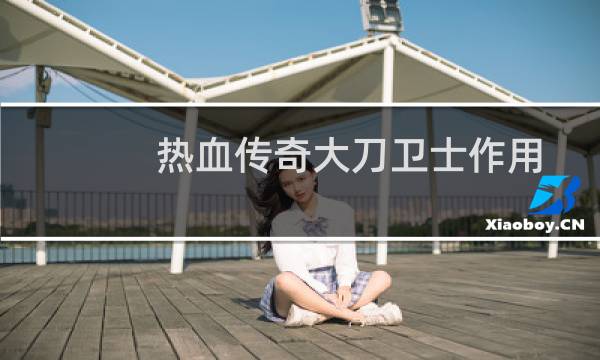 热血传奇大刀卫士作用