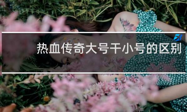 热血传奇大号干小号的区别