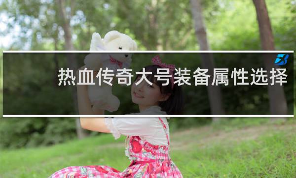热血传奇大号装备属性选择
