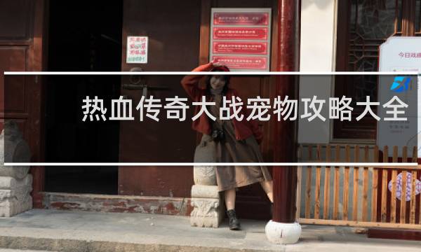热血传奇大战宠物攻略大全